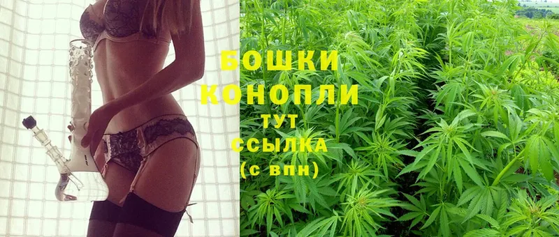 Конопля White Widow  купить  цена  Николаевск 